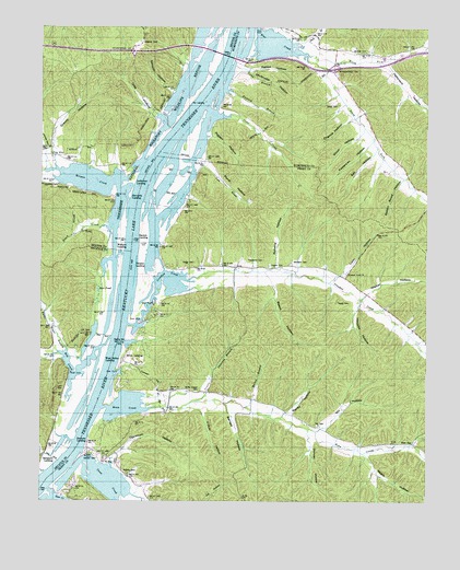 Daniels Landing, TN USGS Topographic Map