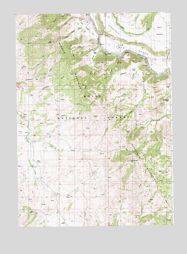 Danskin Peak, ID USGS Topographic Map