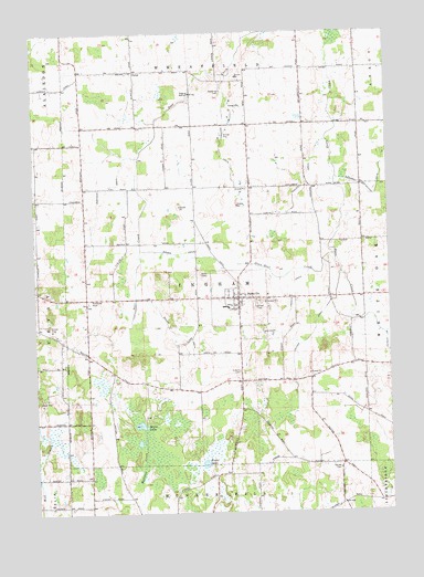 Dansville, MI USGS Topographic Map