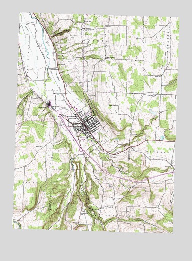 Dansville, NY USGS Topographic Map