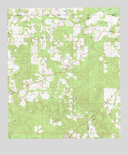 Darlington, FL USGS Topographic Map