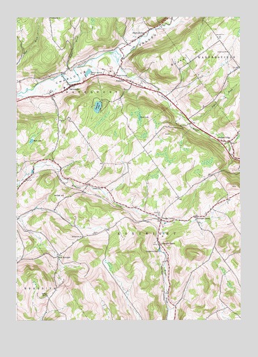 Davenport, NY USGS Topographic Map