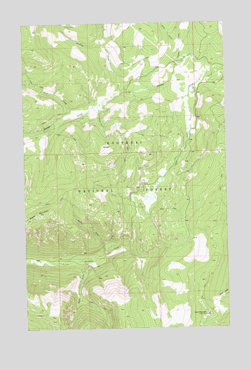 Davis Mountain, MT USGS Topographic Map