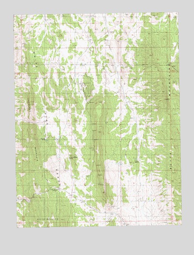 Antelope Mountain, NV USGS Topographic Map