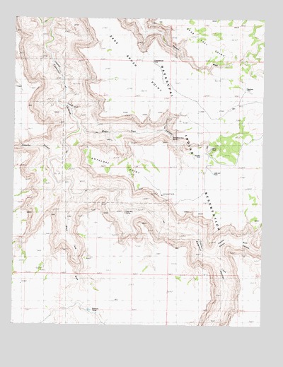 Antelope Point, AZ USGS Topographic Map