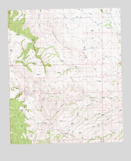 Antelope Ridge, NM USGS Topographic Map
