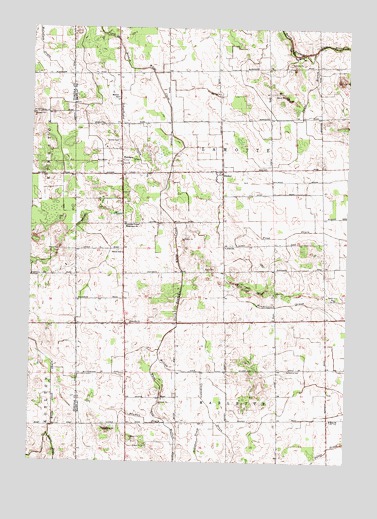 Decker, MI USGS Topographic Map