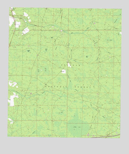 Deep Creek, FL USGS Topographic Map