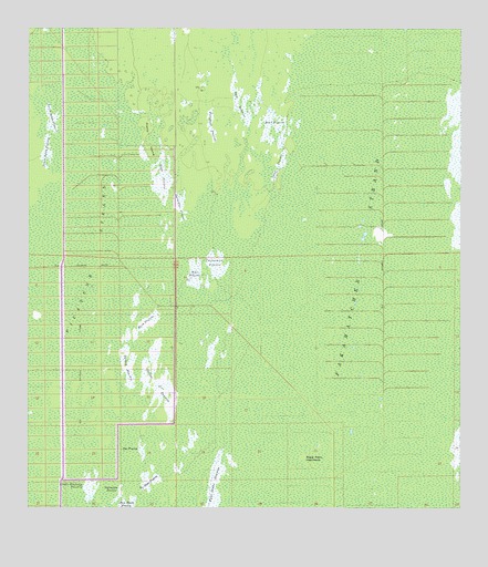 Deep Lake SW, FL USGS Topographic Map