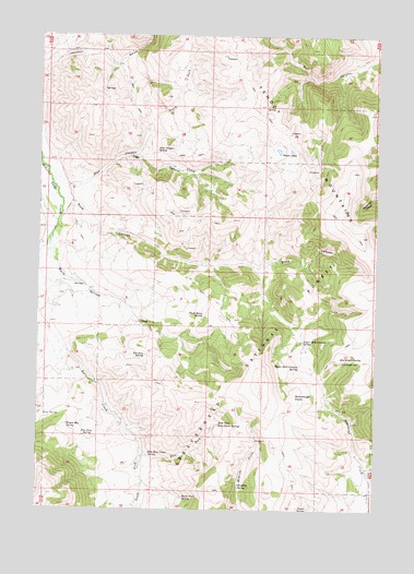 Deer Canyon, MT USGS Topographic Map
