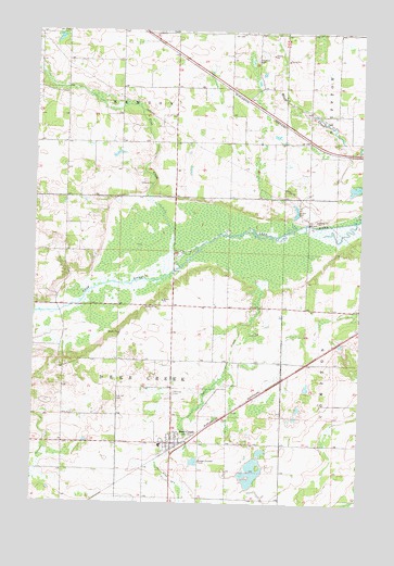 Deer Creek, MN USGS Topographic Map