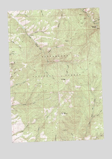 Deer Mountain, MT USGS Topographic Map