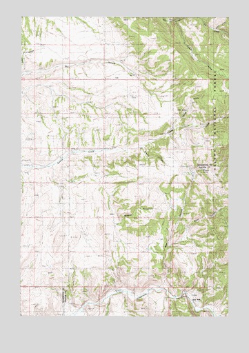 Deer Park, MT USGS Topographic Map