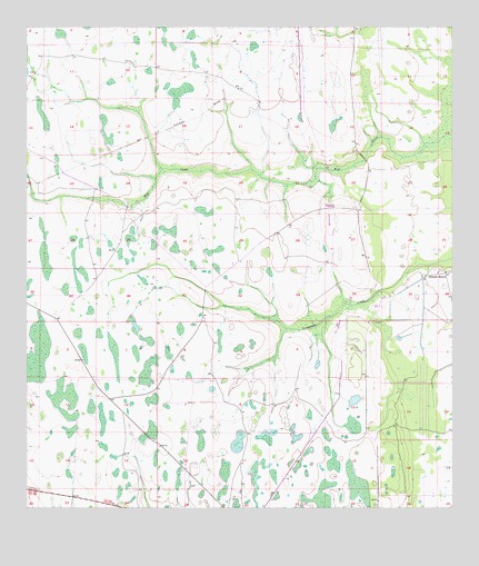 Deer Park NW, FL USGS Topographic Map