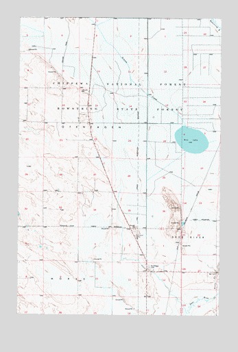 Deer River NE, MN USGS Topographic Map
