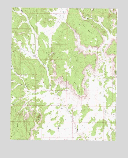 Deer Spring Point, UT USGS Topographic Map