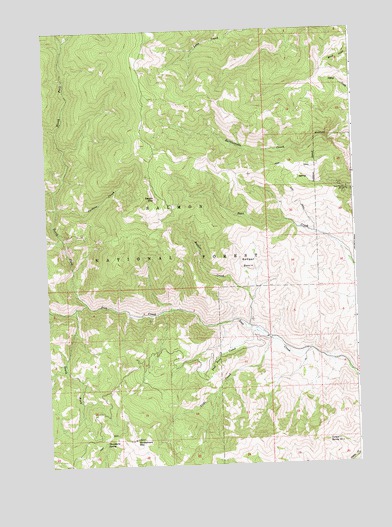 Degan Mountain, ID USGS Topographic Map
