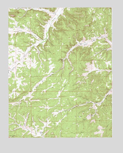 Delagua, CO USGS Topographic Map