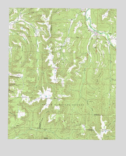 Delaney, AR USGS Topographic Map