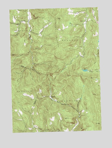 Delectable Mountain, VT USGS Topographic Map