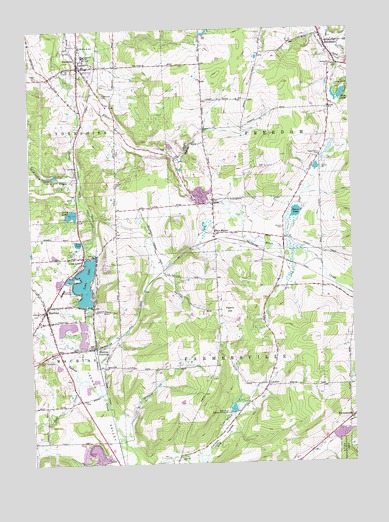 Delevan, NY USGS Topographic Map