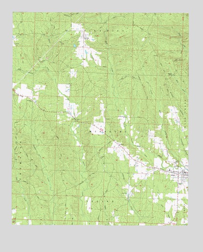 Delight, AR USGS Topographic Map