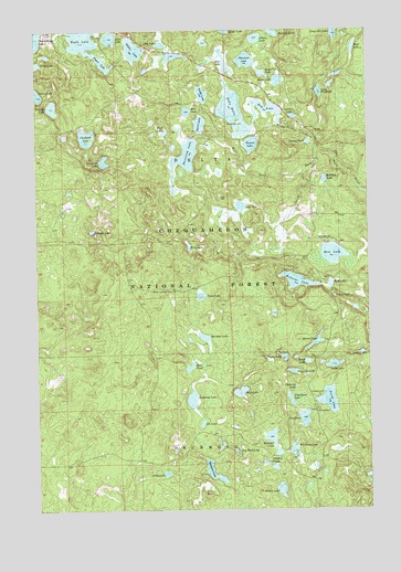 Delta, WI USGS Topographic Map