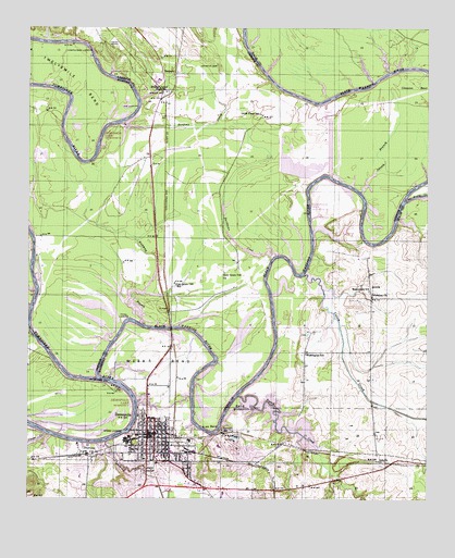 Demopolis, AL USGS Topographic Map
