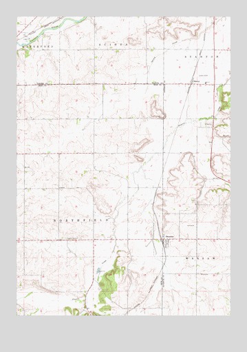 Dennison, MN USGS Topographic Map