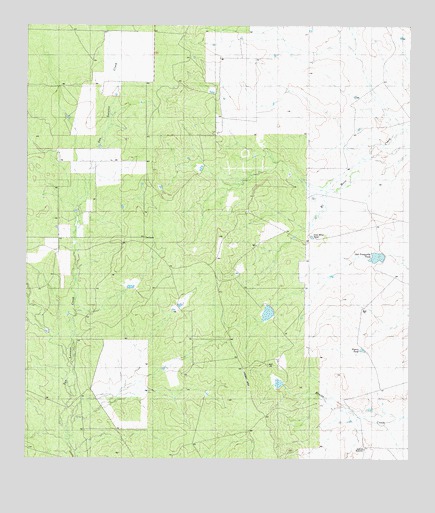 Dentonio, TX USGS Topographic Map