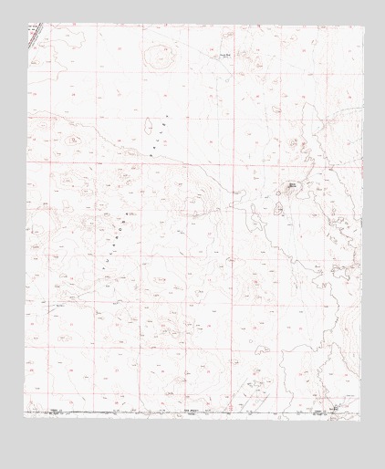 Desert SW, NM USGS Topographic Map