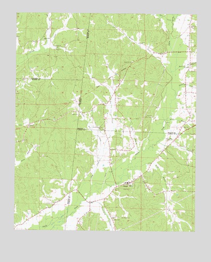 Detroit, AL USGS Topographic Map