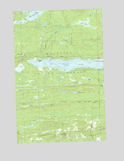 Devil Track Lake, MN USGS Topographic Map