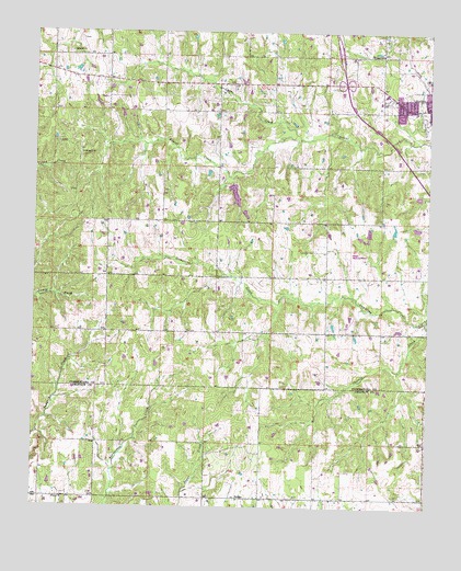 Antlers West, OK USGS Topographic Map