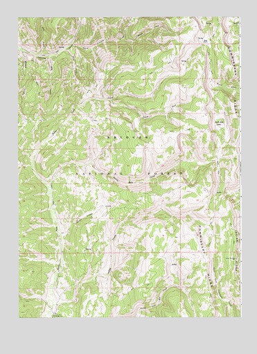 Devils Hole Creek, WY USGS Topographic Map