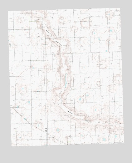 Anton NE, TX USGS Topographic Map