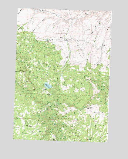 Antone, OR USGS Topographic Map