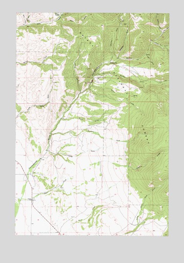 Diamond City, MT USGS Topographic Map