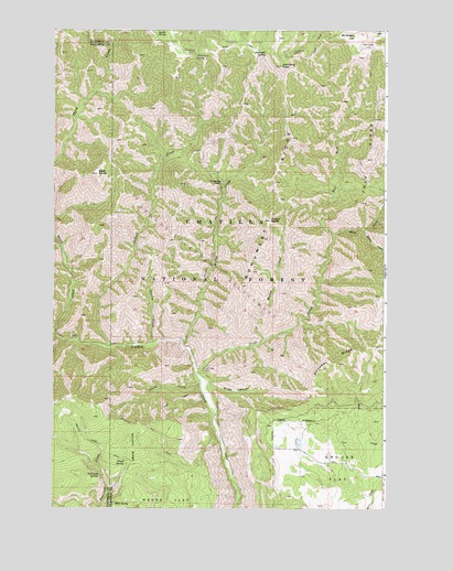 Diamond Peak, WA USGS Topographic Map