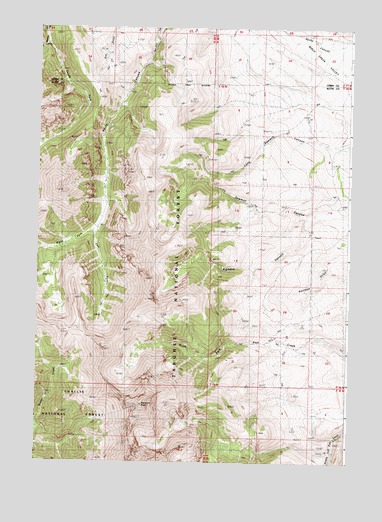 Diamond Peak, ID USGS Topographic Map