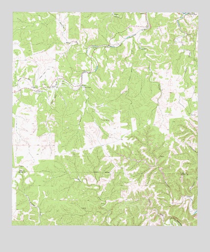 Diamond S Ranch, TX USGS Topographic Map