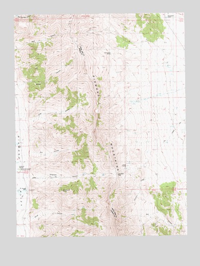 Diamond Springs, NV USGS Topographic Map
