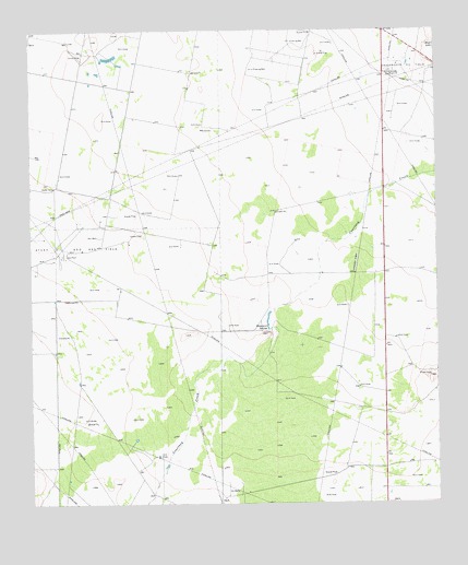 Diamond Y Spring NW, TX USGS Topographic Map