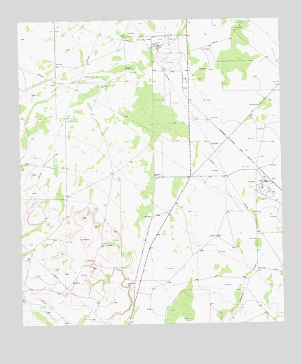 Diamond Y Spring SE, TX USGS Topographic Map