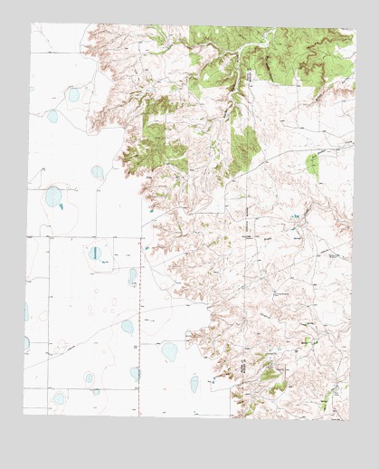 Dick Moore Canyon, TX USGS Topographic Map