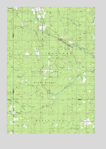 Diffin, MI USGS Topographic Map
