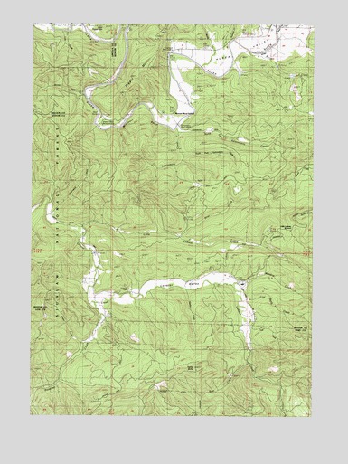 Digger Mountain, OR USGS Topographic Map