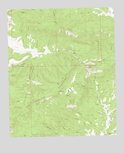 Dillon Mountain, NM USGS Topographic Map