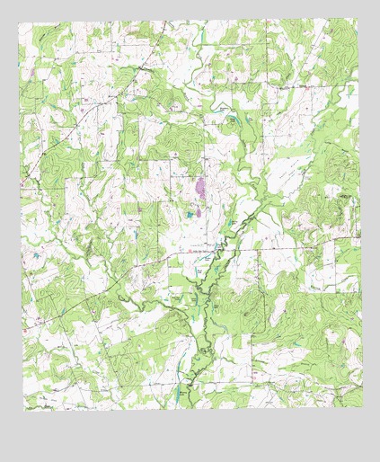 Dilworth, TX USGS Topographic Map
