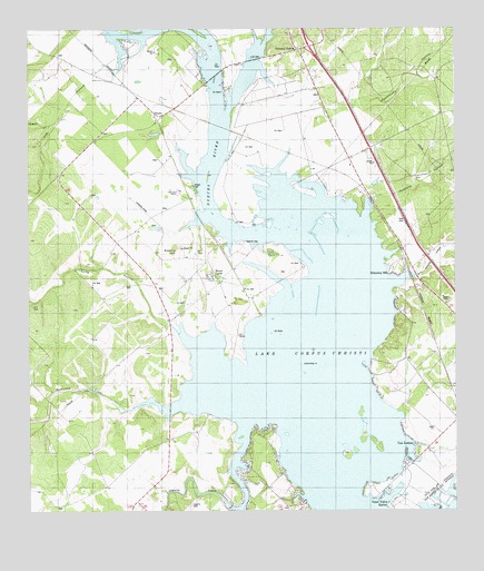 Dinero, TX USGS Topographic Map